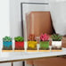 Succulent Pots with Drainage Trays, 2.1 Inch Set of 10