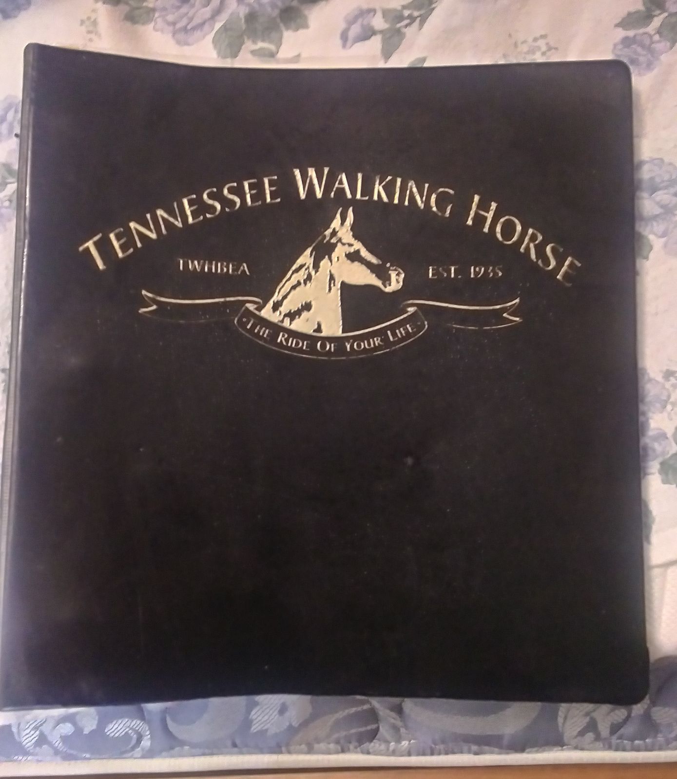 1947- 2001 Tennessee Walker Grand champi