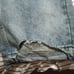 Enfants Riches Deprimes Flared Denim Distressed Size. 34