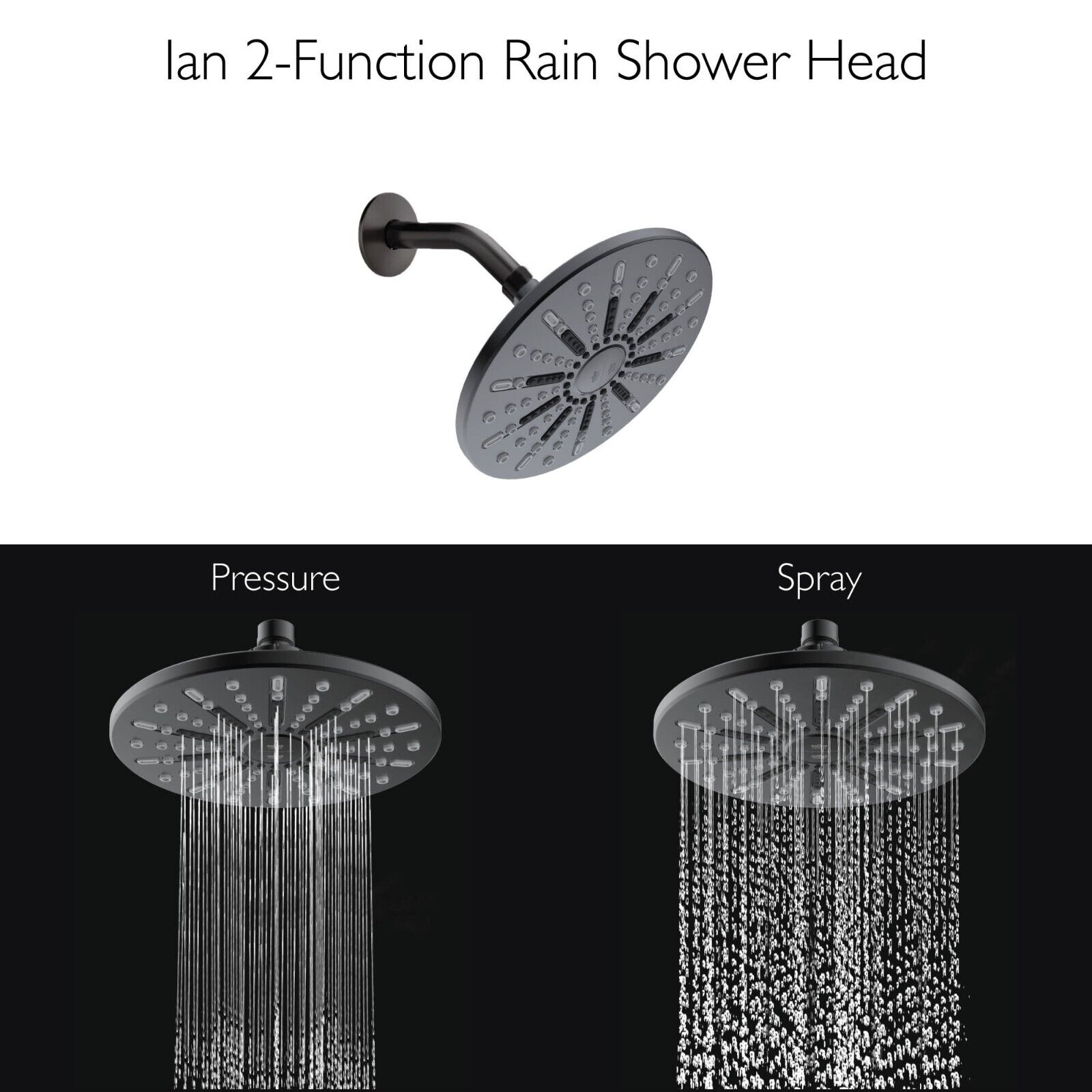 Ian Shower Head in Matte Black, 8-Inch