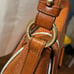 Brahmin Sand Salmon Leather Bag
