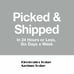 Moog Replacement Coil Springs 81616