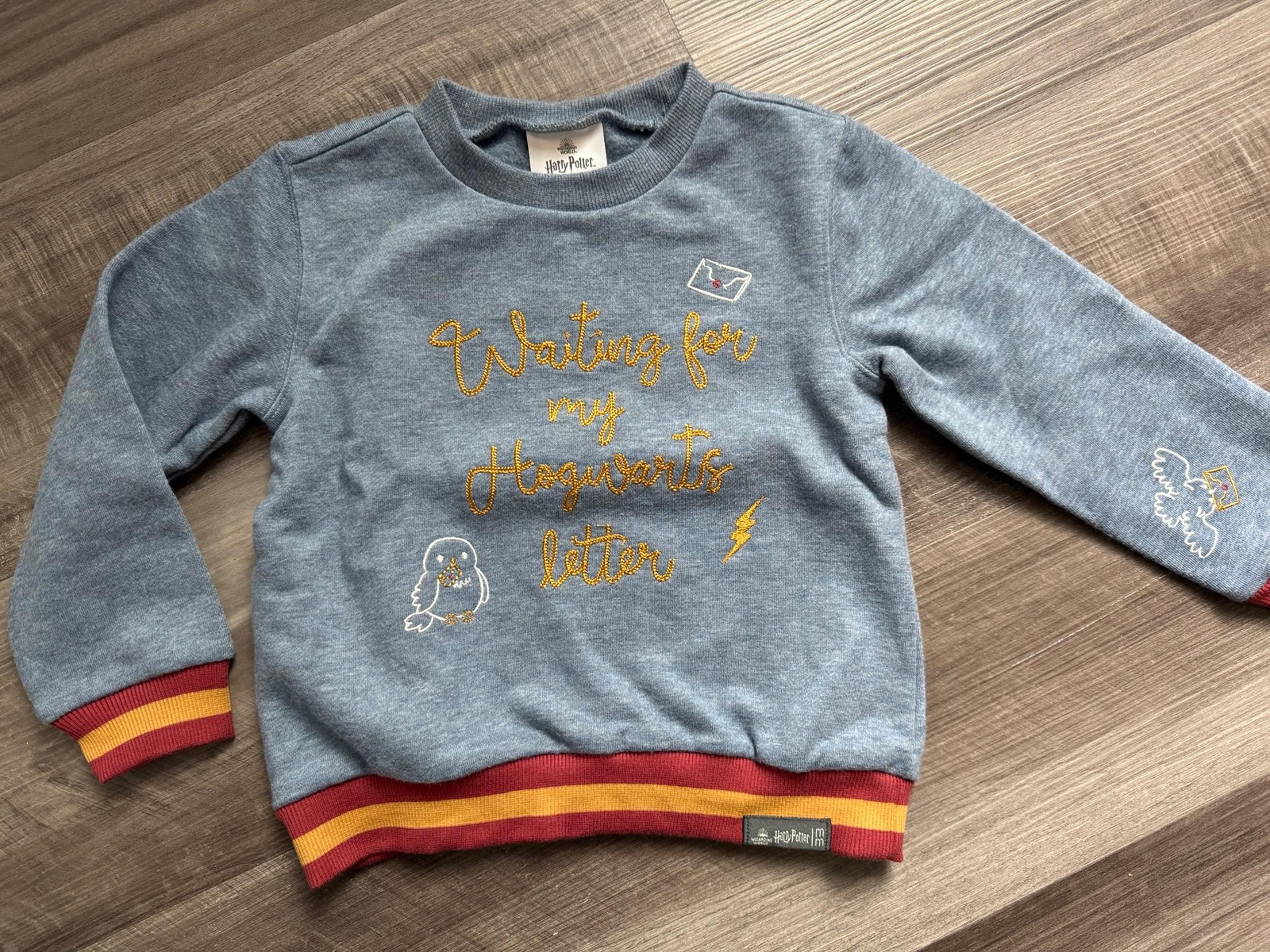 Modern Moments HARRY POTTER Sweatshirt