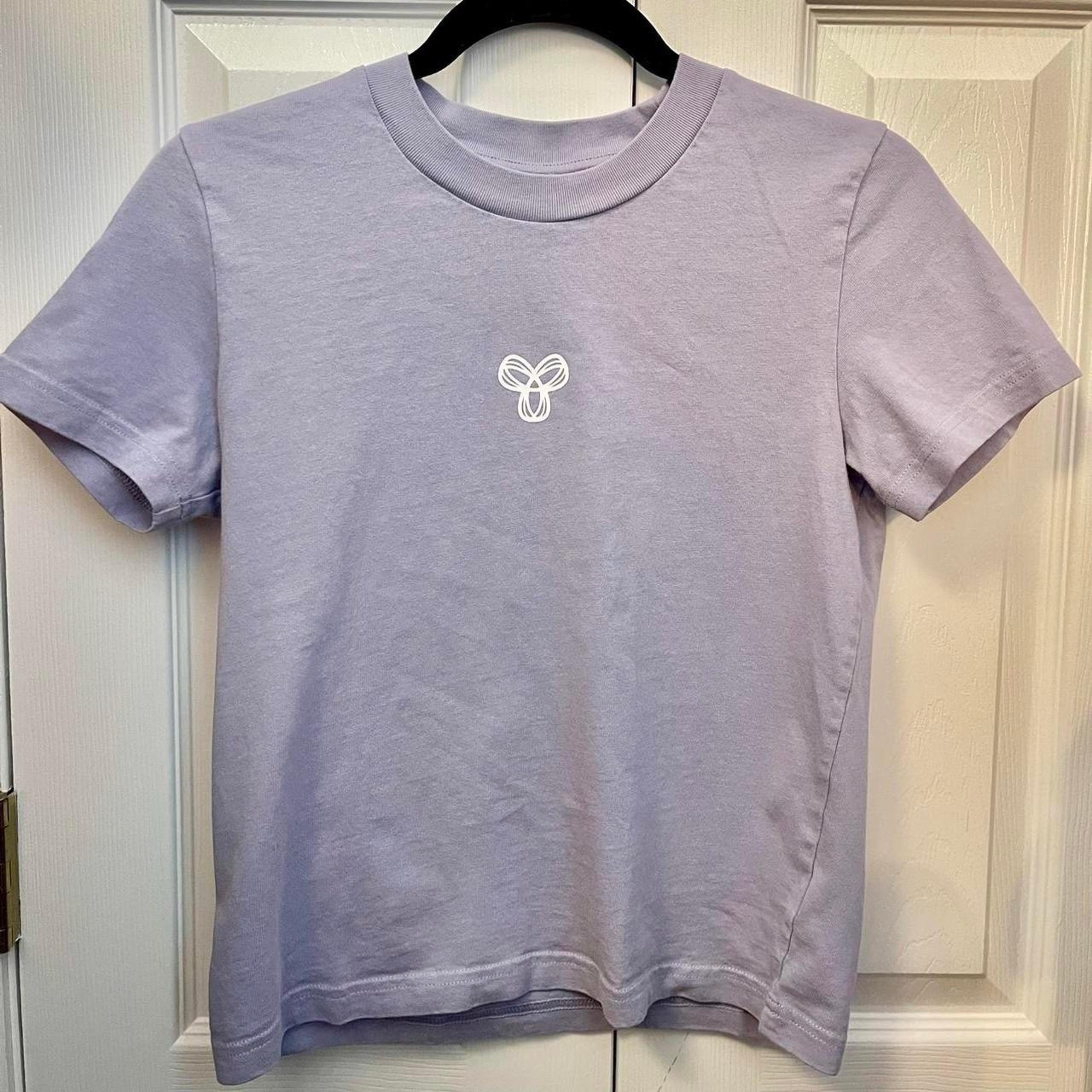 aritzia t shirt