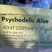 Spirit Psychedelic Alice Adult Costume