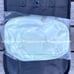 NWT Lululemon Athletica Everywhere Belt Bag in Kohlrabi Green/White