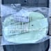 NWT Lululemon Athletica Everywhere Belt Bag in Kohlrabi Green/White
