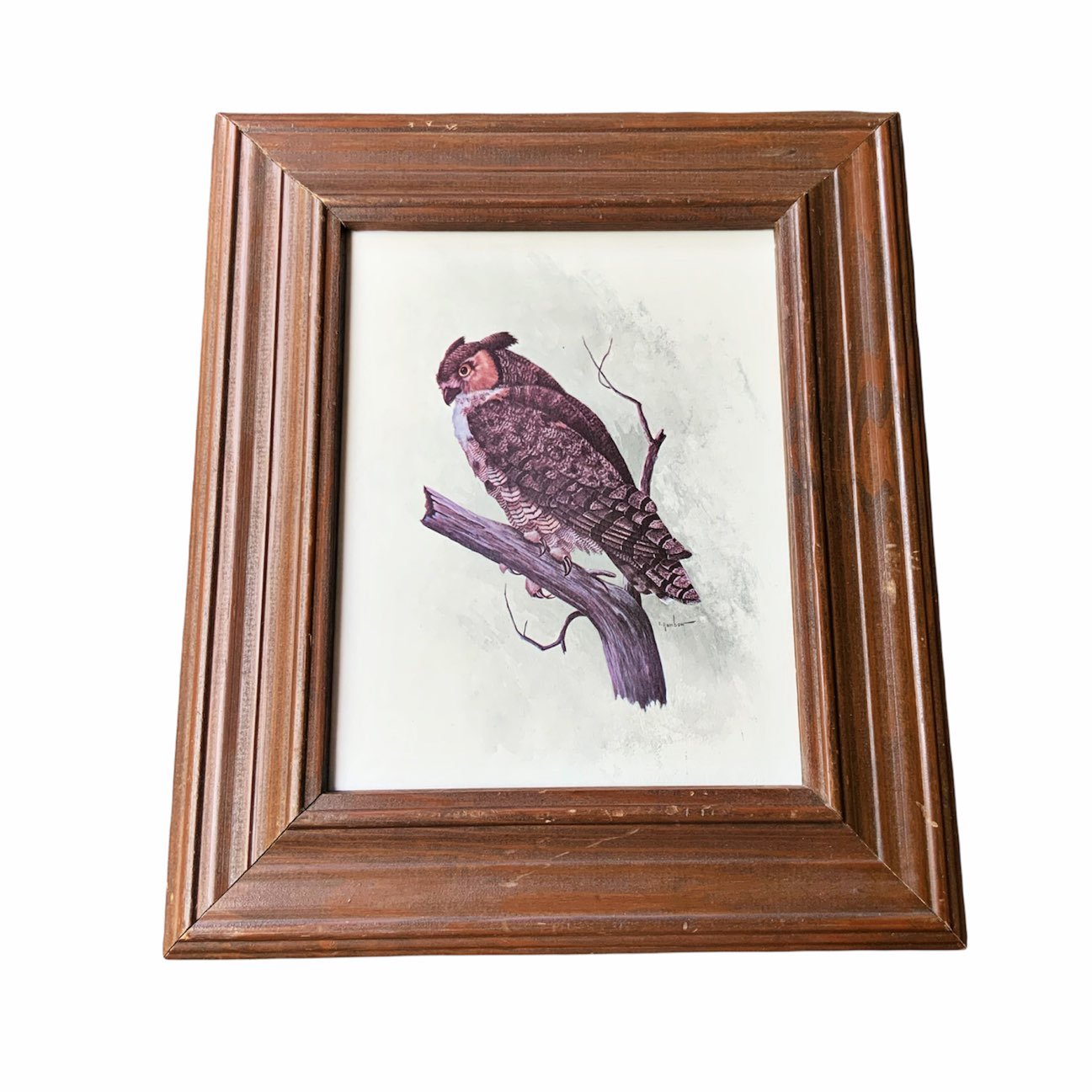 Vintage Owl Print 1978 E Rambow Bernard Picture Company Wood Frame Litho USA
