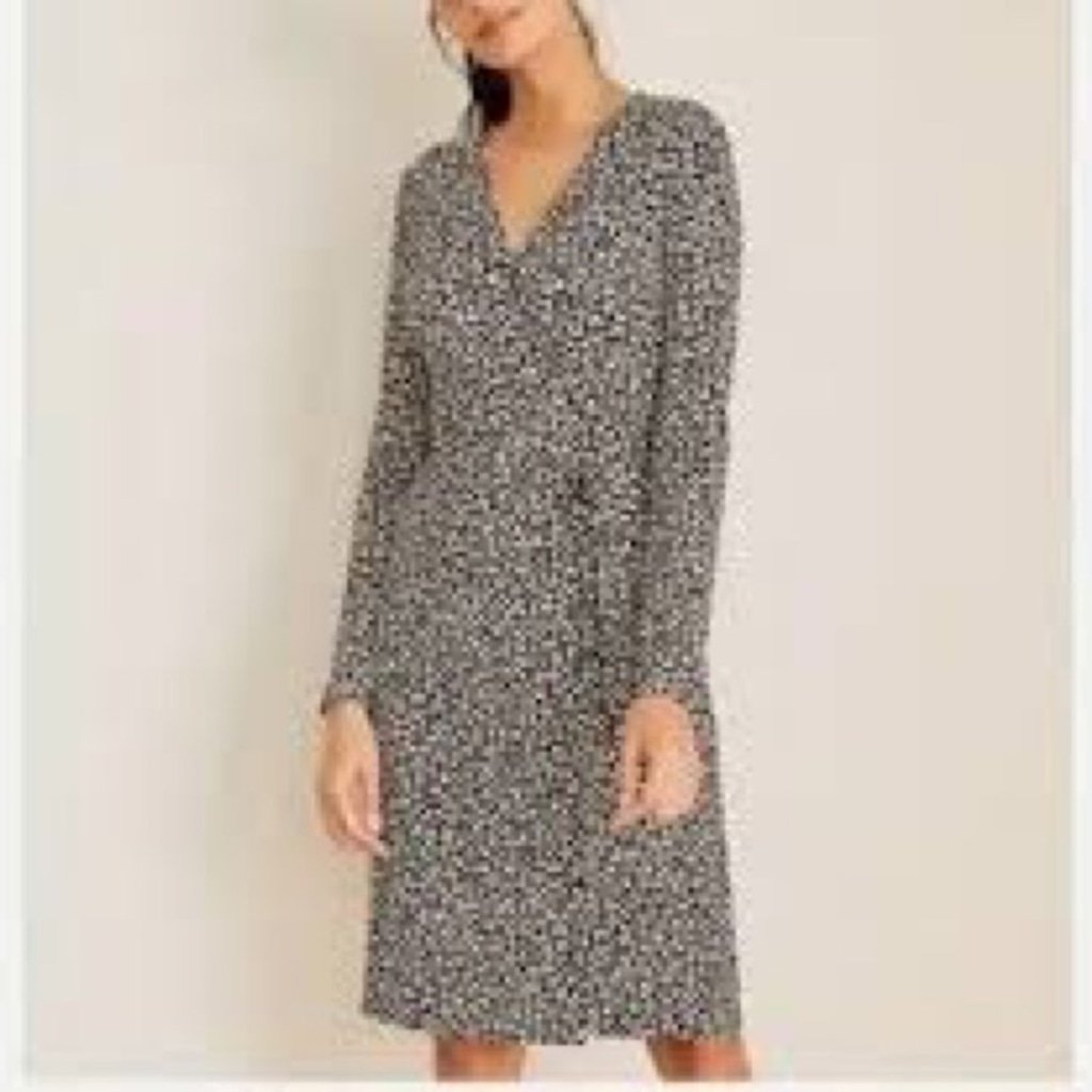 Ann Taylor Cheetah Print Wrap Dress Sz 6P