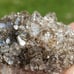 Smokey Herkimer Diamond Cluster, Witch Doctor Claim, Fonda, NY 5x3.5x1.5cm 96cts