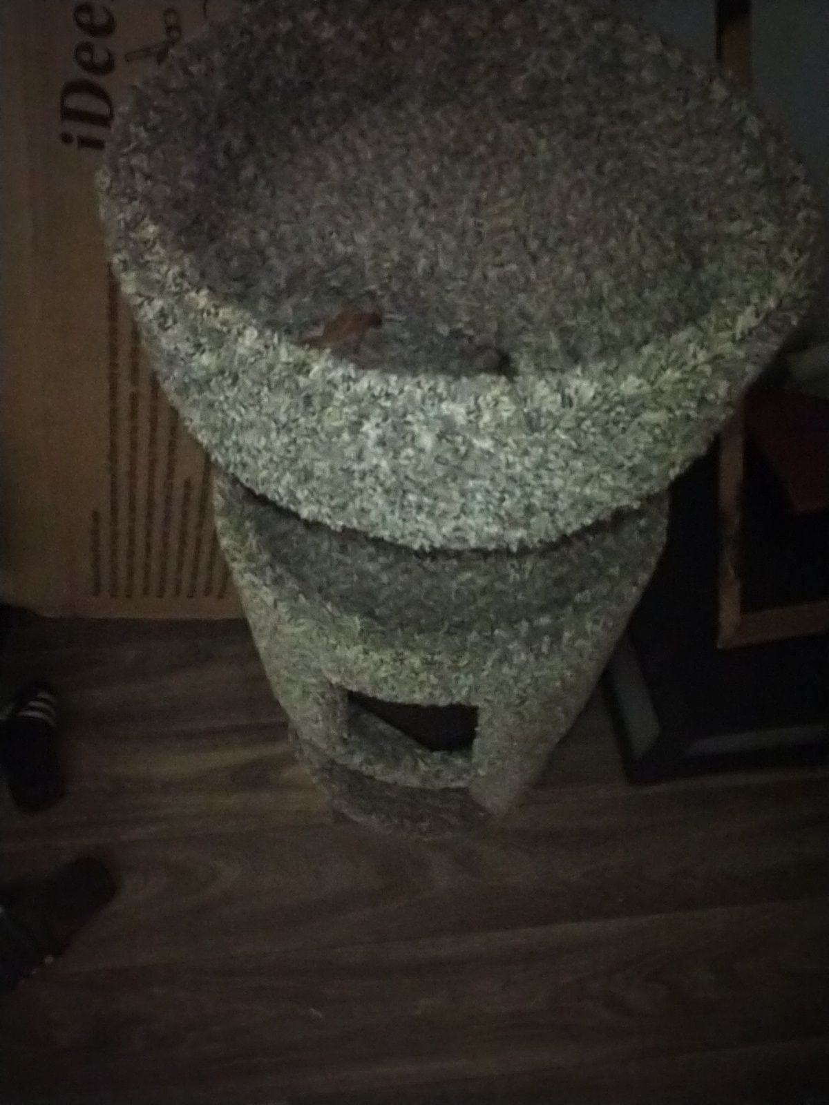 Cat house