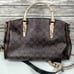Brown & Snake Skin Coach Purse