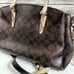 Brown & Snake Skin Coach Purse