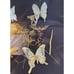 Stunning Heavy Gold Christmas Ornament Lot Butterflies & Dragonflies-CH1