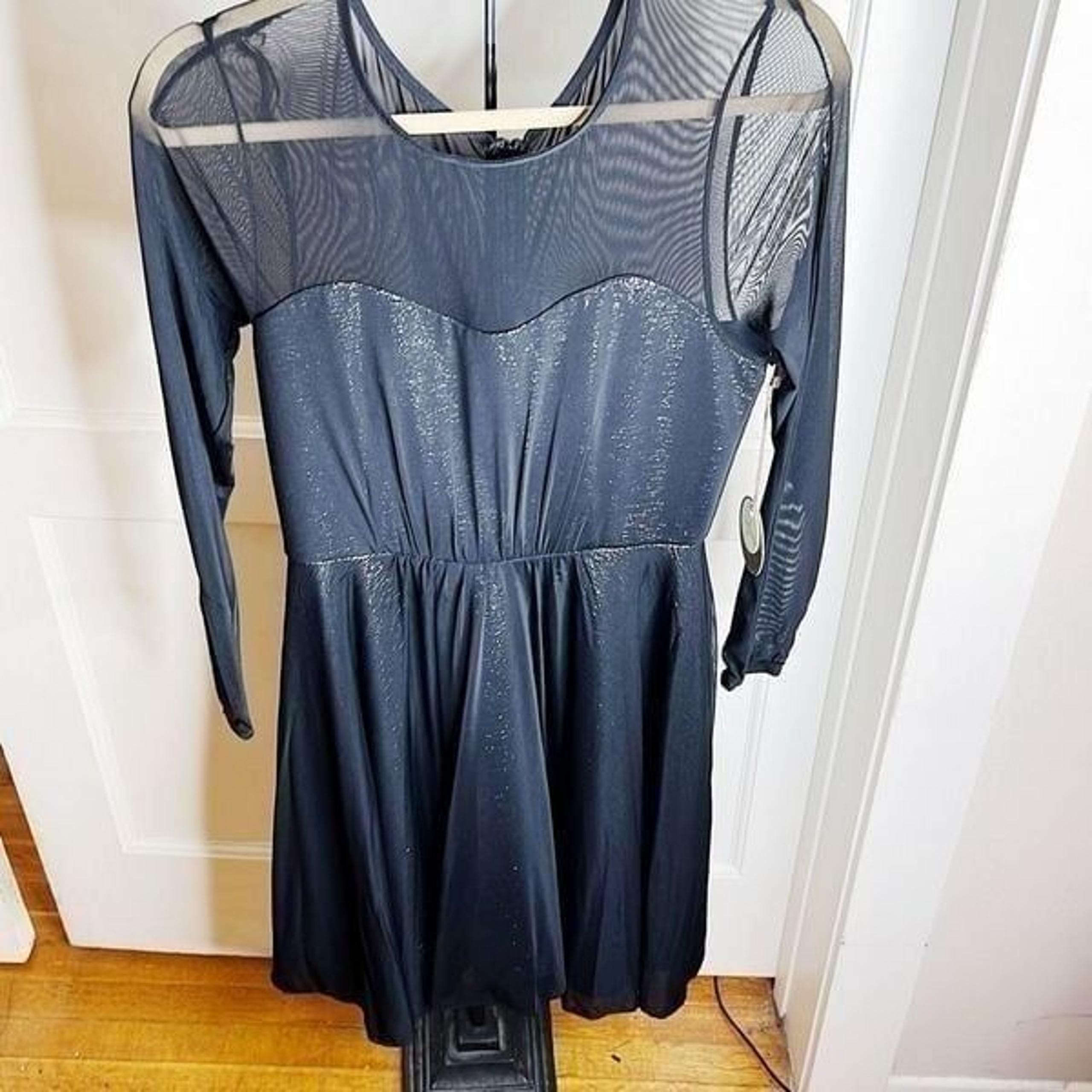 Eva Franco Tracey Dress Silver Moon NWT Size 6