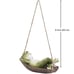 Funny Hanging Hammock Swing Frog Statue Fairy Tree Sleeping Sculpture