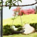 Funny Hanging Hammock Swing Frog Statue Fairy Tree Sleeping Sculpture
