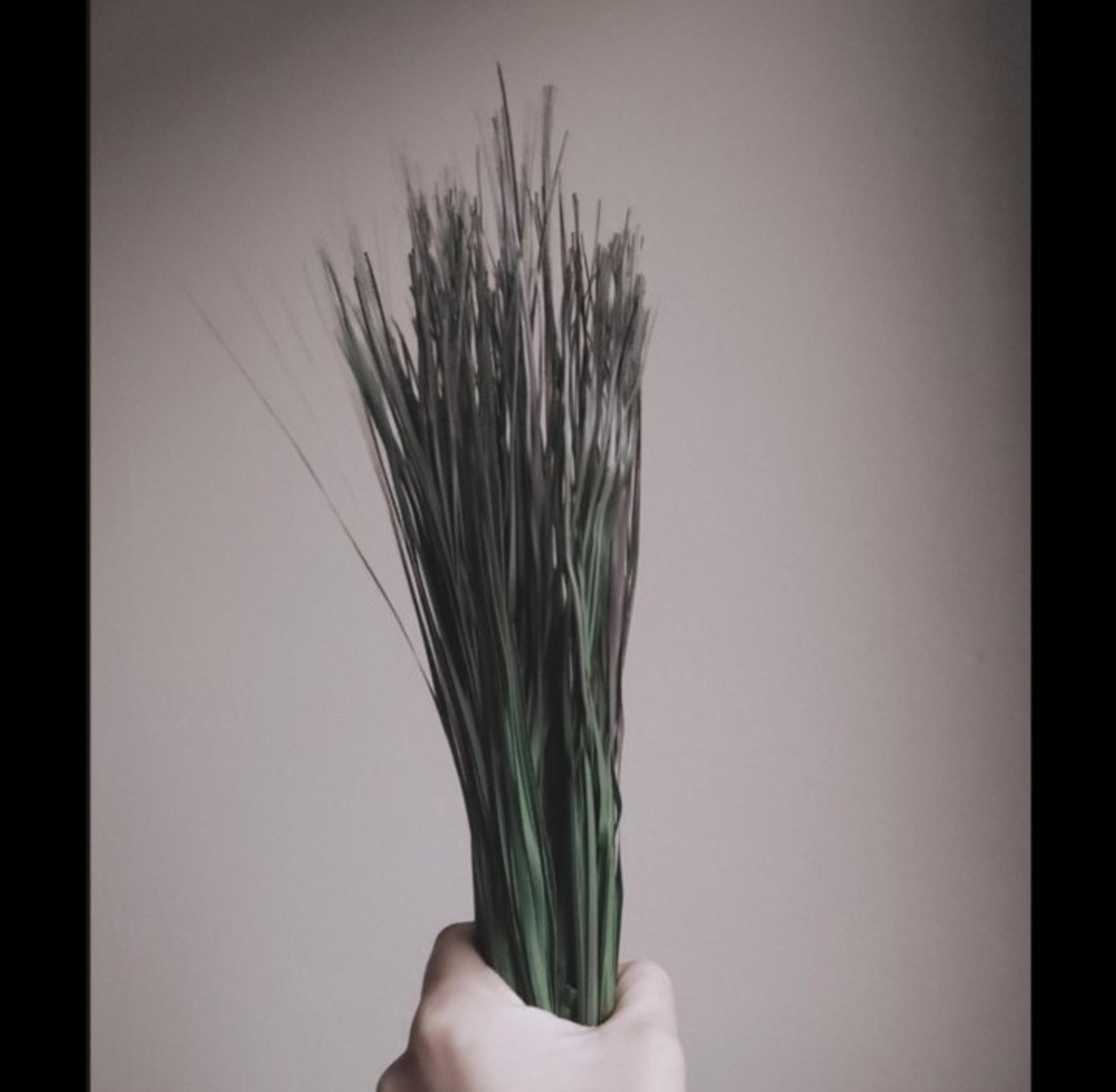 Grass Steams