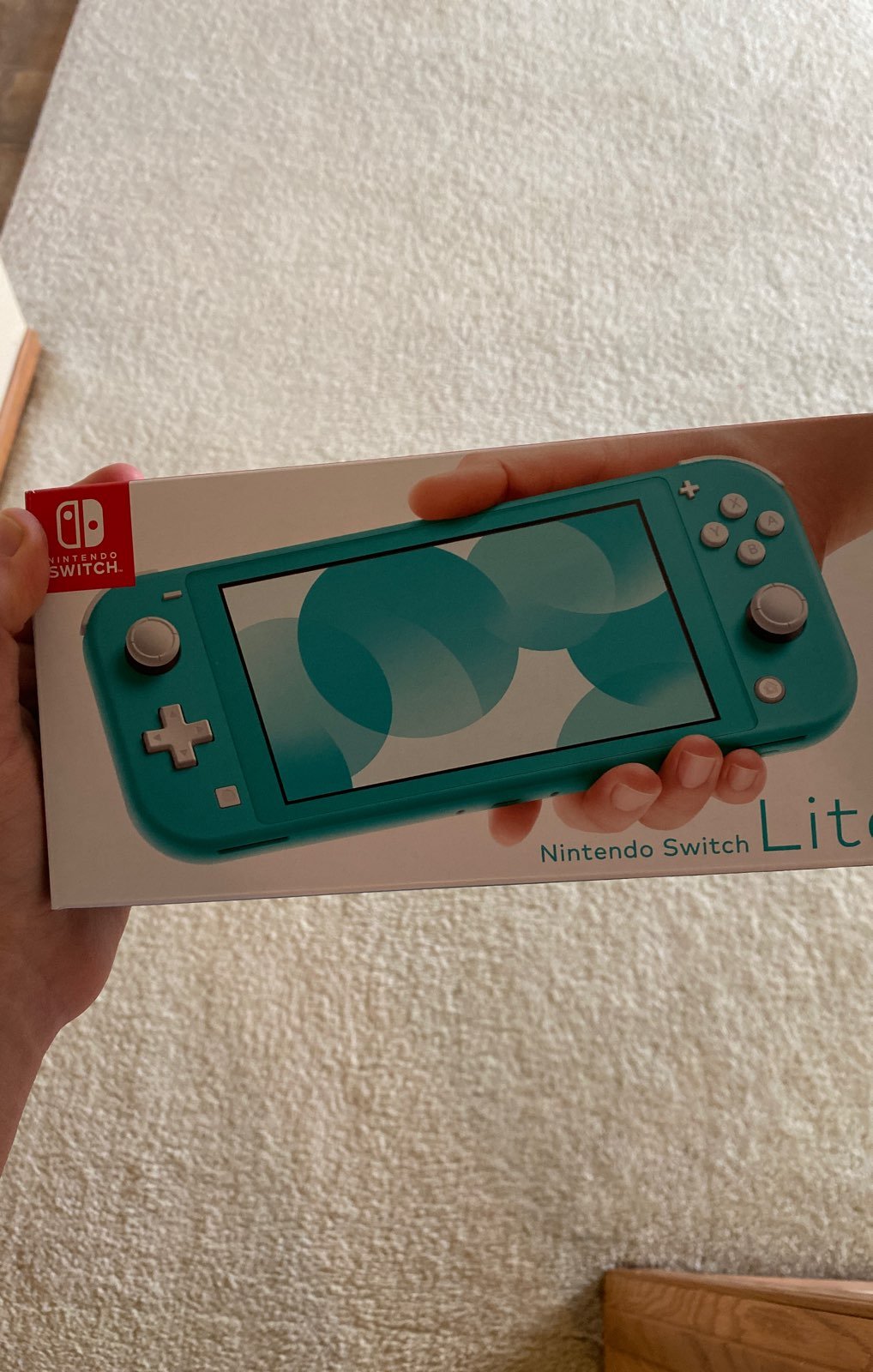 Nintendo switch lite