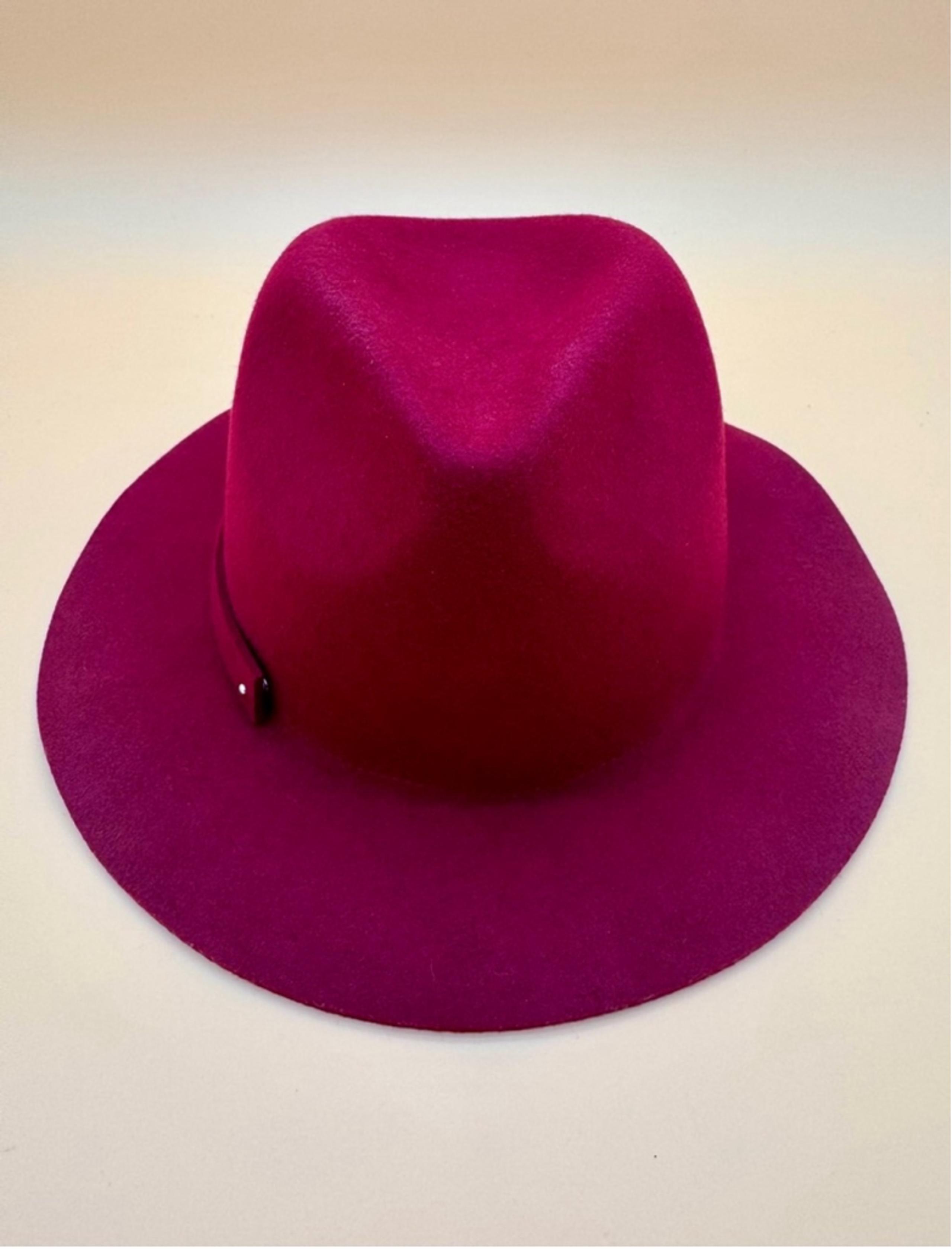 Women's Anthropologie 100% Wool Fedora Hat Size M Purple