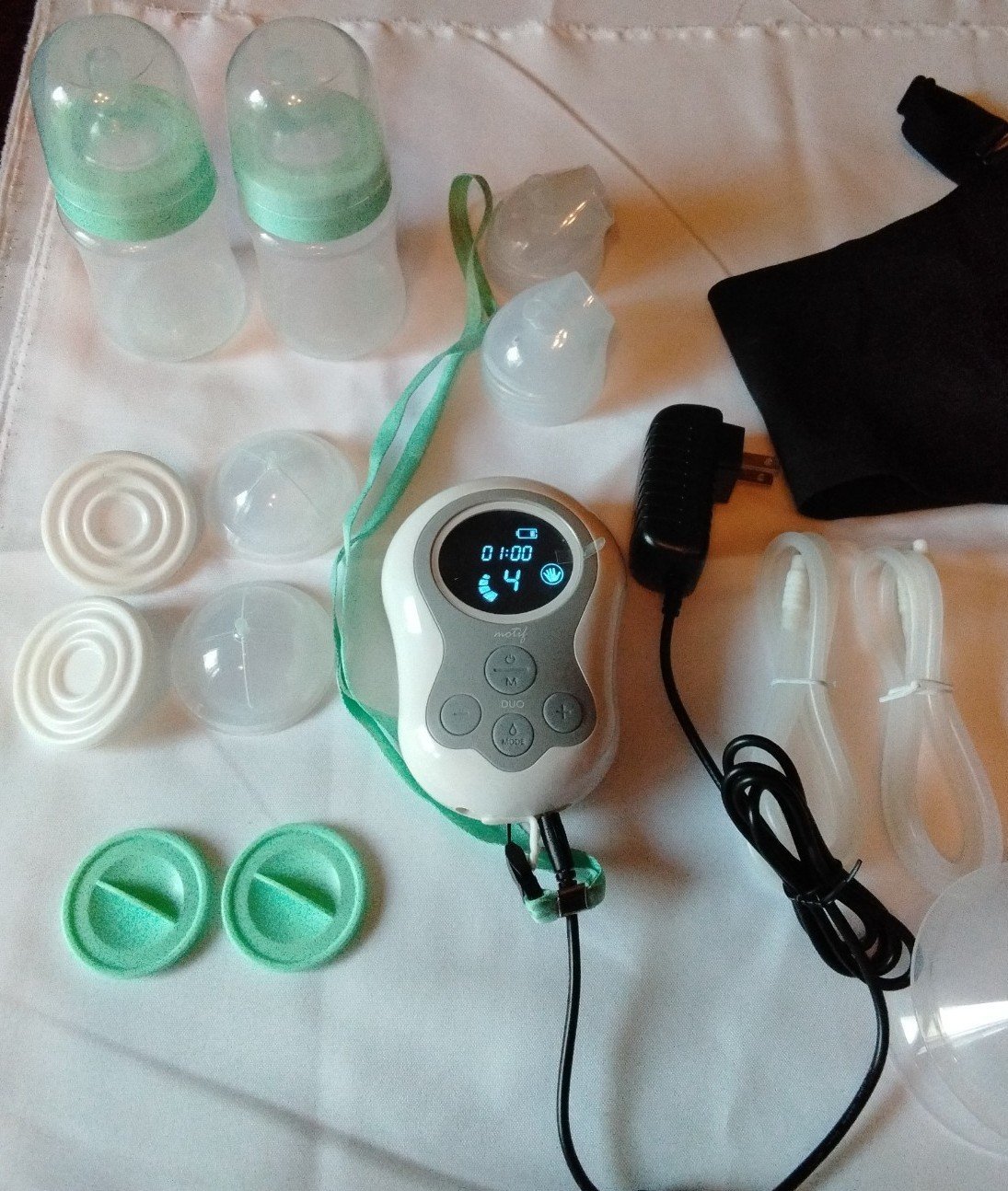 Double breast pump with bra