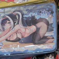 SHYLILY gamersupps bundle Lunchbox & Fingerboard Waifucups