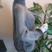 Acid-Washed NorthStyle Knit Sweater