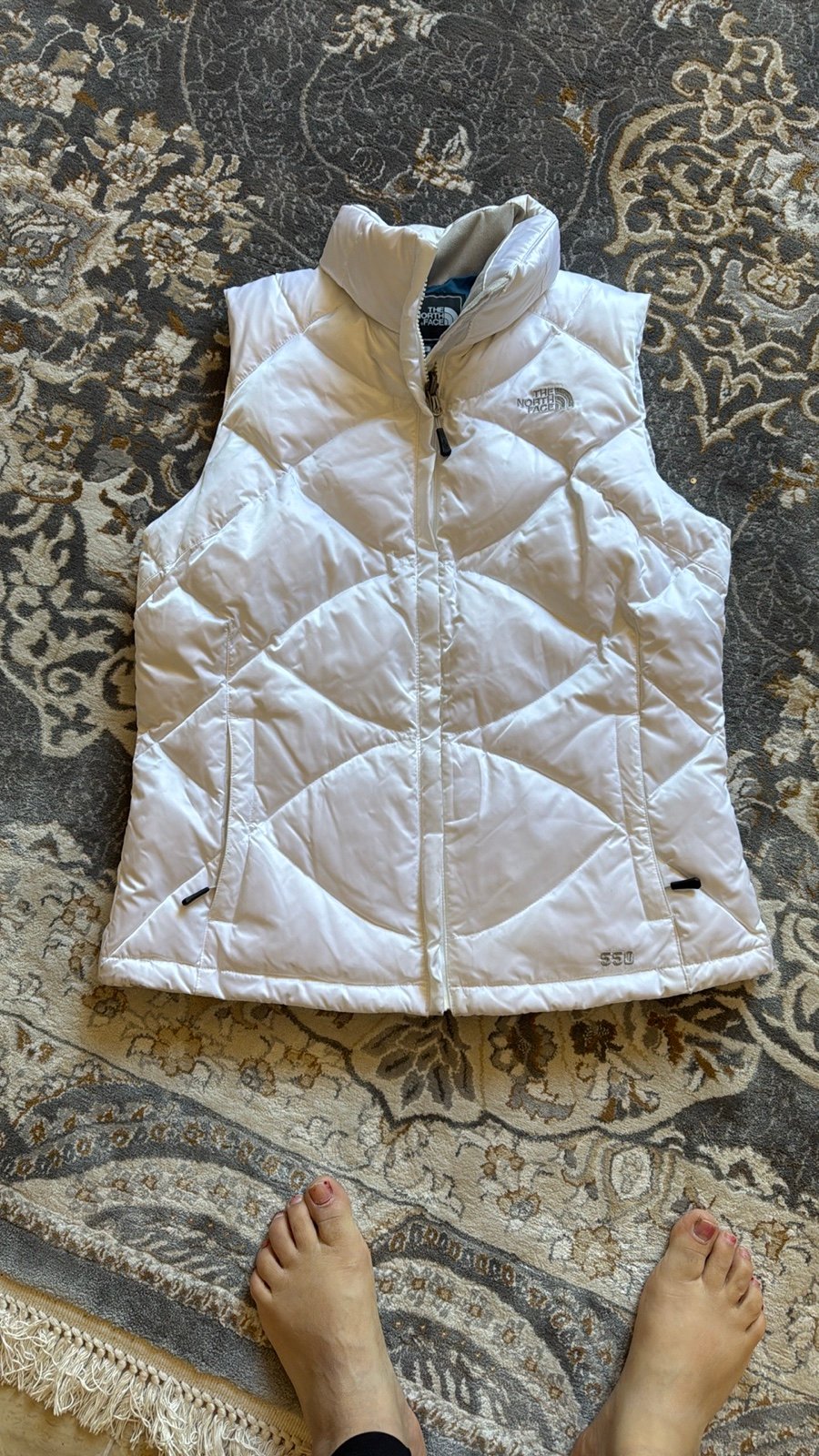 The north face Vest