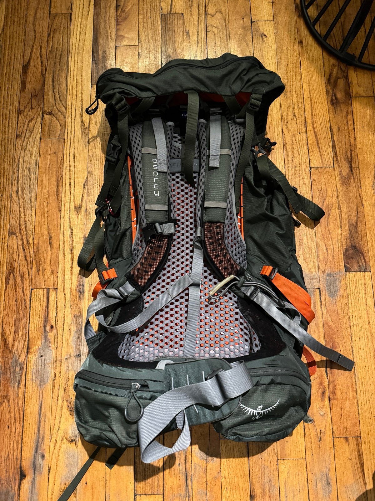 Osprey Atmos 65 AG Forest Green M
