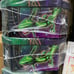 Pokémon Tcg Rayquaza Ex Tin 2012