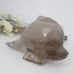 Smokey Quartz Dolphin