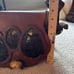 Vintage Brown Leather Purse Feather Boho Festival Shoulder Bag Crossbody Rare
