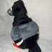 Staple pigeon Zeedog plush