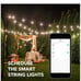 Smart OutdoorPatio Lights RGBW Color