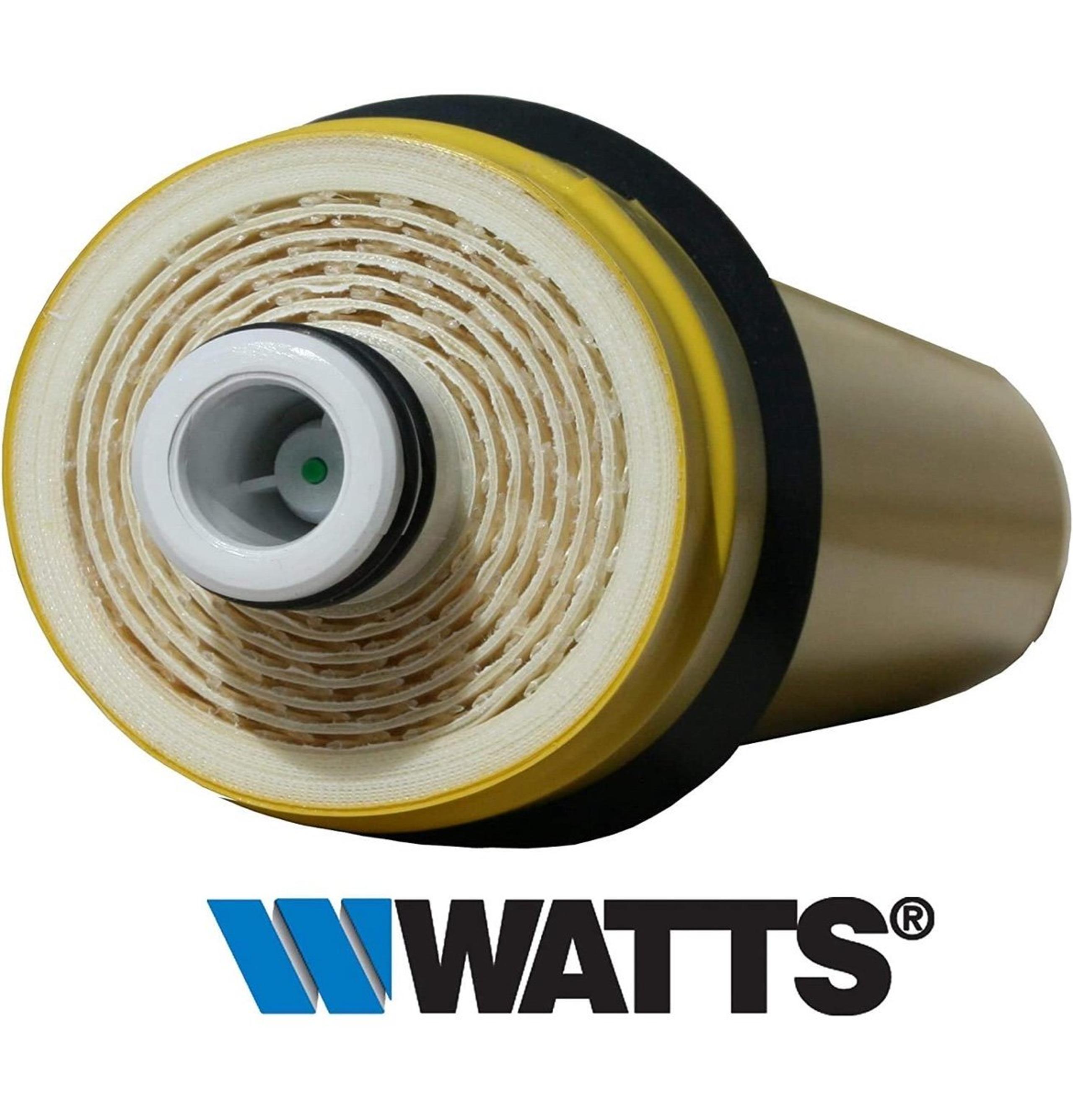Watts Premier RO Water Filter 50 GPD (Gallons Per Day)