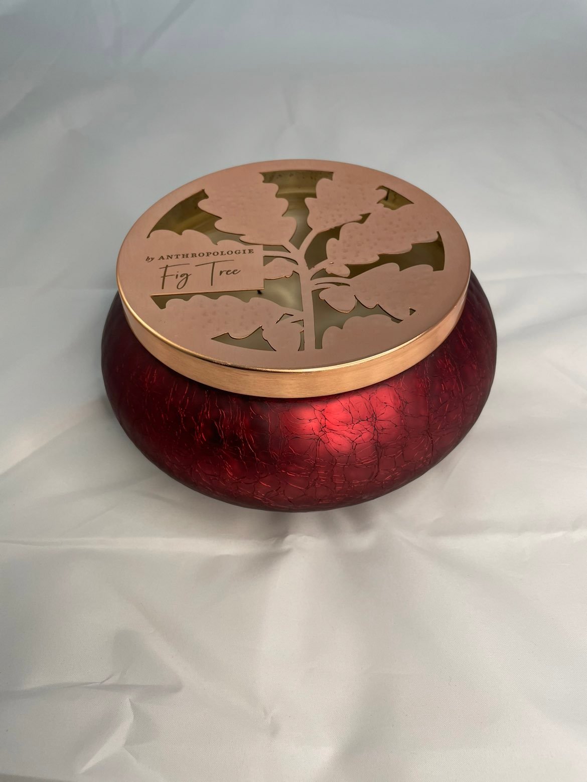 Anthropologie 4 Wick Fig Tree Candle