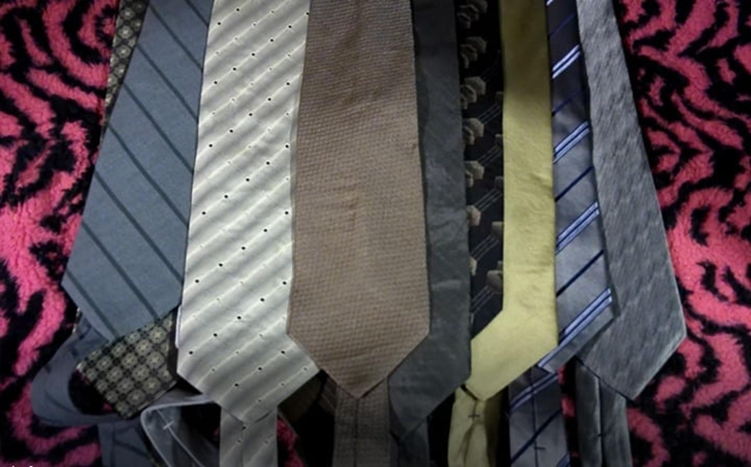 12 Silk Ties Lot