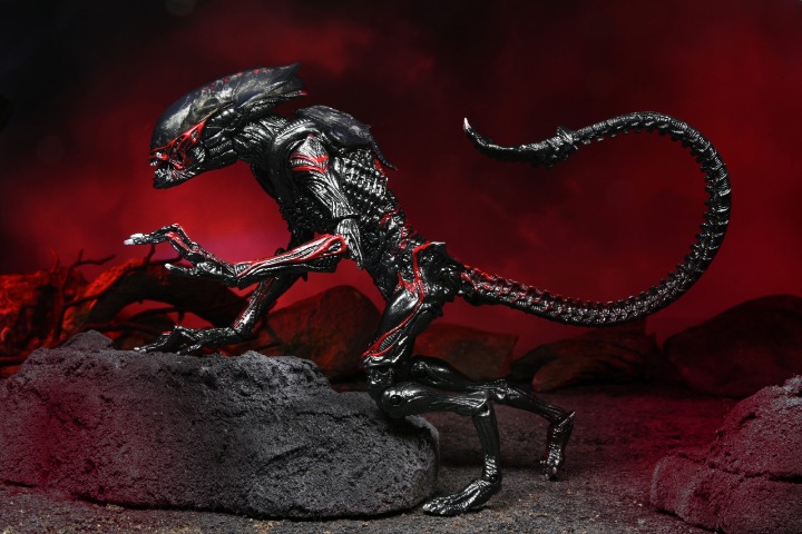 NECA - Aliens Kenner Tribute Ult Night Cougar Alien 7 Action Figure