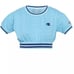 Champion Cropped Vintage Dyed Crew Ringer Stripe Tee Sweatshirt Top