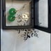 Jade Donut Hook Hang Earrings