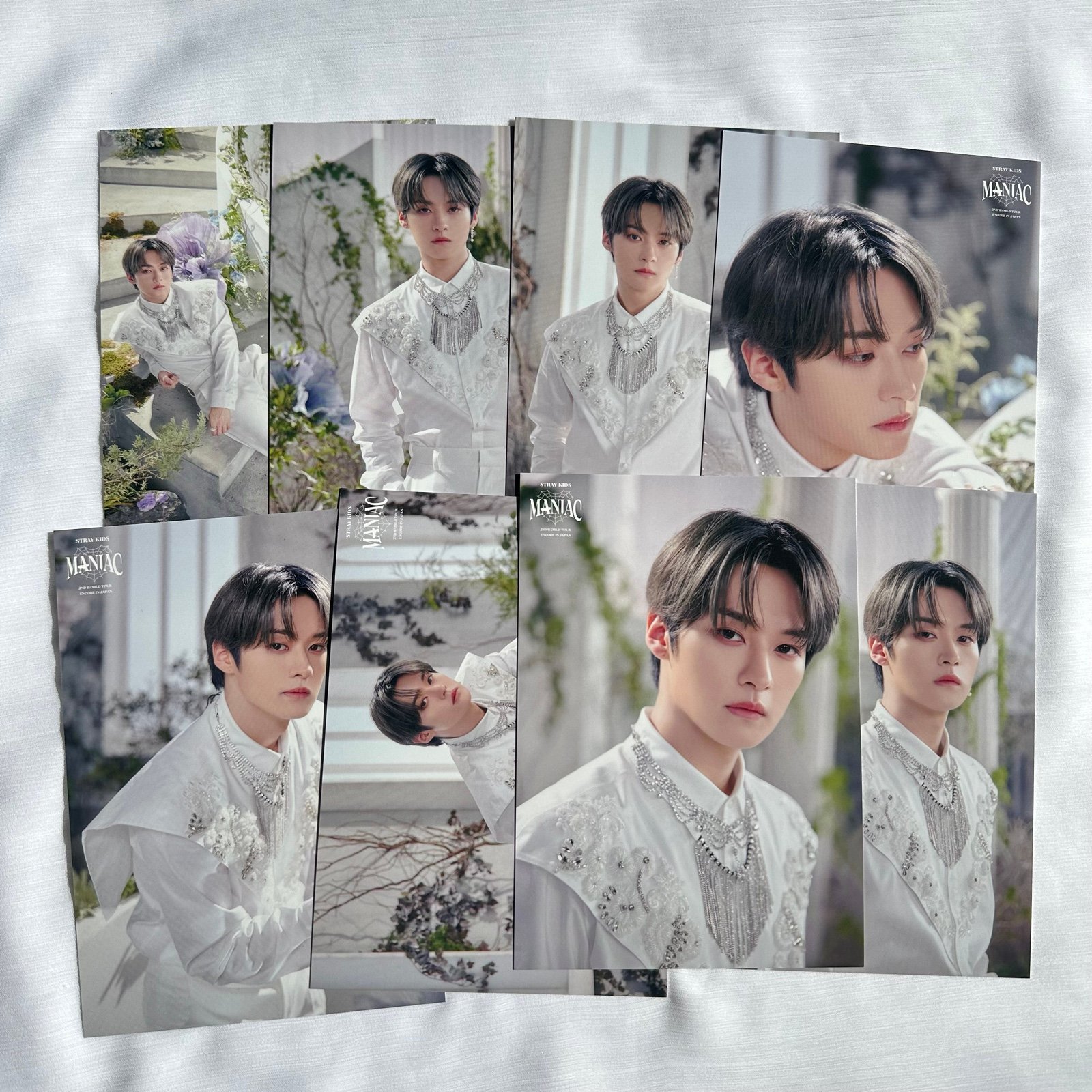 stray kids MANIAC random photo card Lee Know complete set K