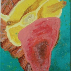 Painting Snail Mystery
