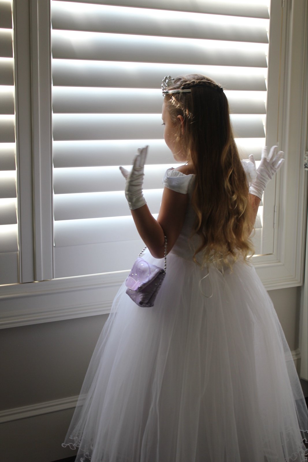 Special Occasion Dress ( Flower girl dress /First Communion Dress) size 5-6