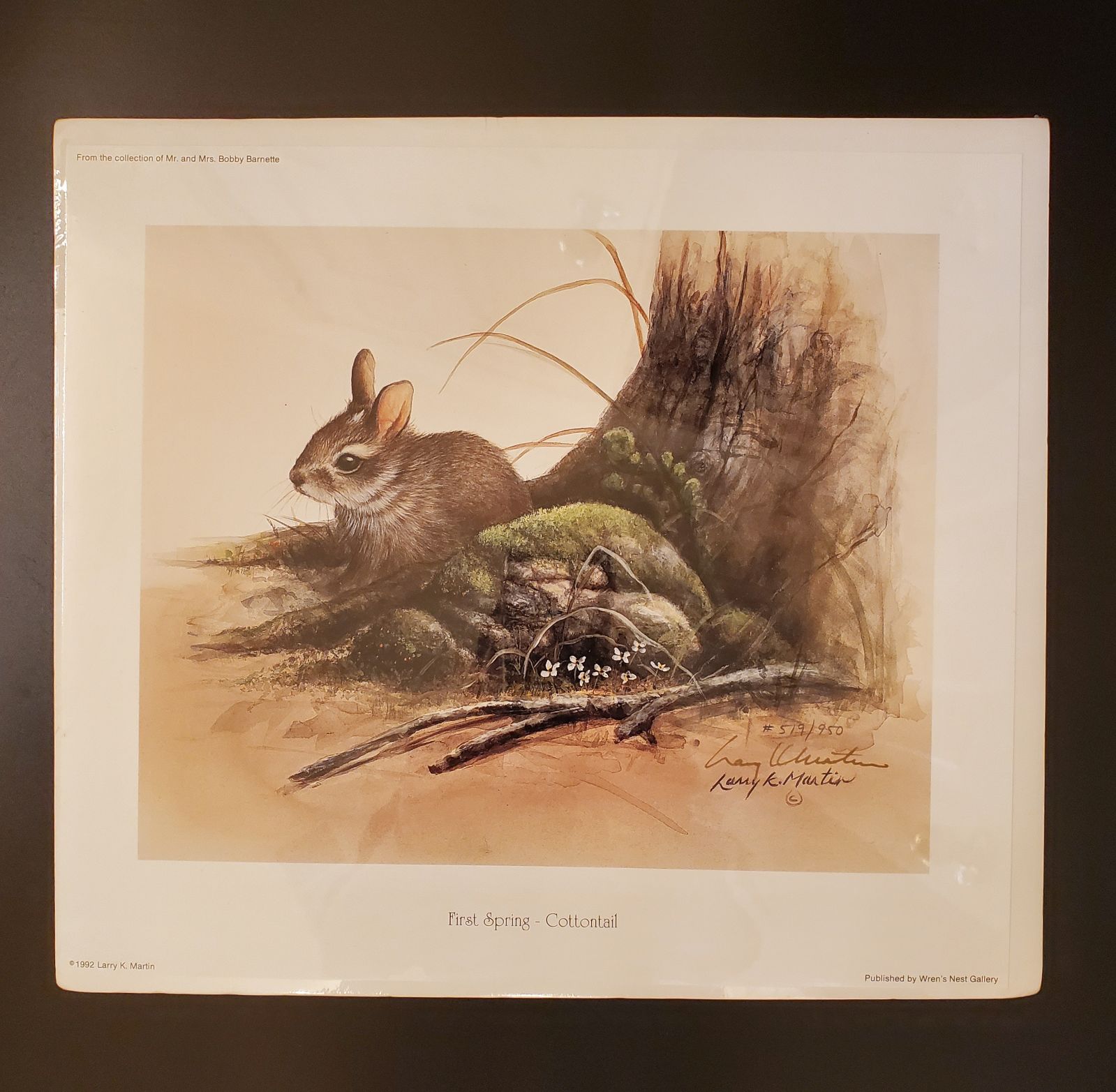 Larry K Martin “First Spring–Cottontail”