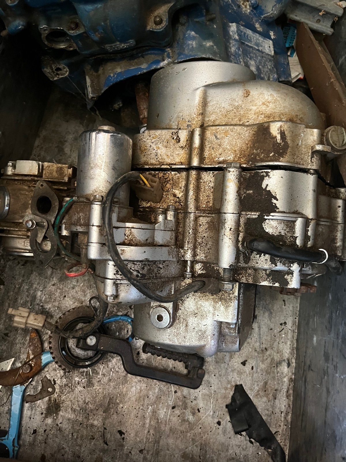 Baja motor