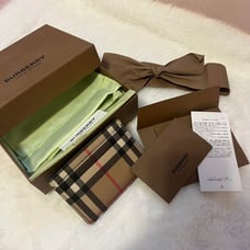 【Excellent Condition】BURBERRY Check Card Case