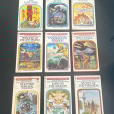Lot of choose your own adventure