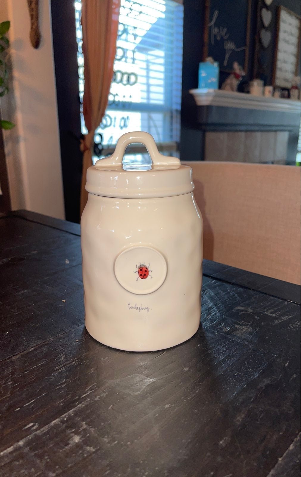 Rae Dunn LADYBUG Canister