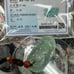 Great A Jade YuBao PiXiu