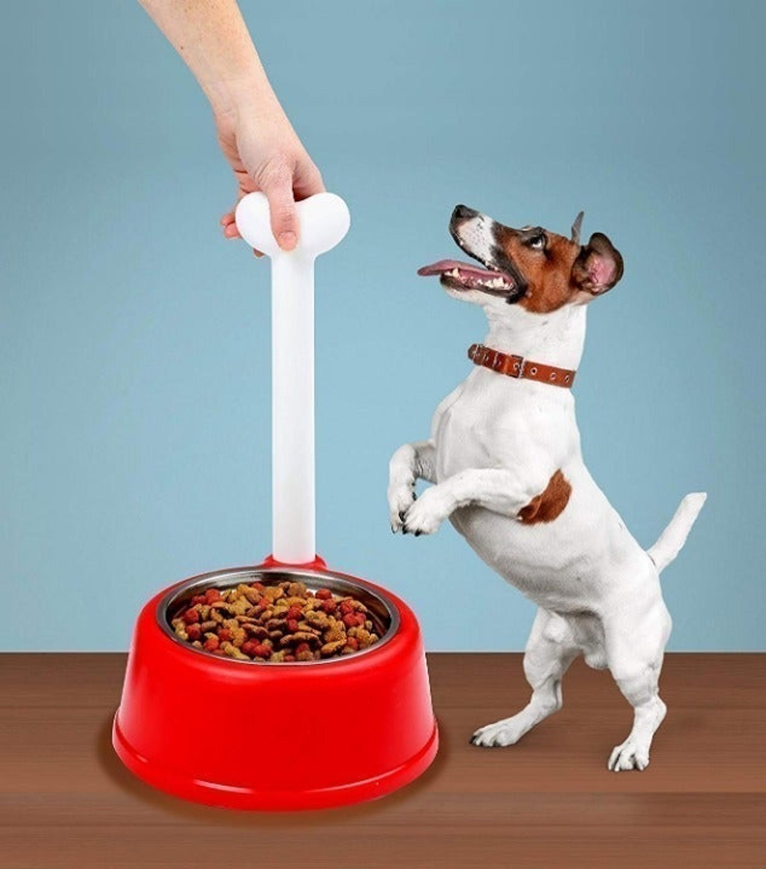 Giant Bowl Feeder w Bone Handle